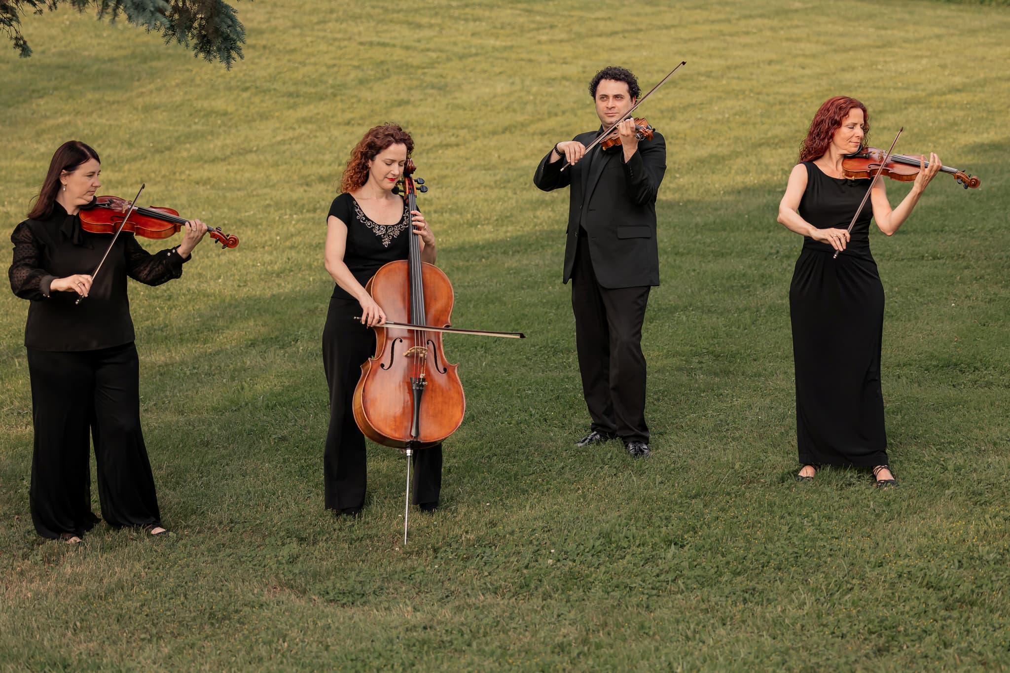 SyracuseStringQuartet